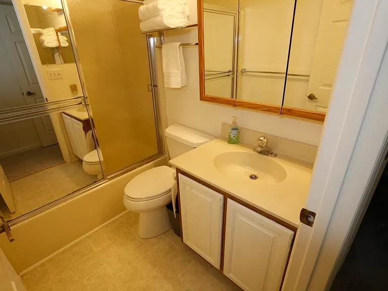 Master bathroom with shower/tub