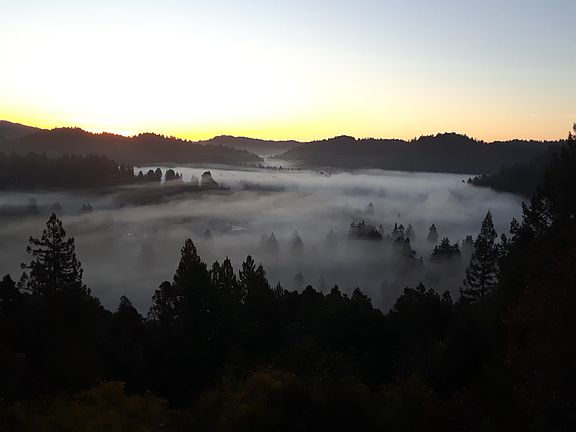 Morning fog