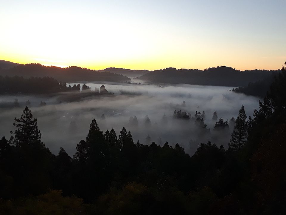 Morning fog