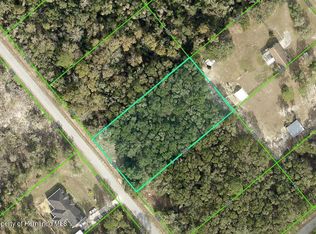 7246 Norman St, Webster, FL 33597