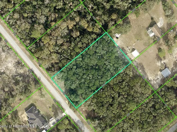 7246 Norman St, Webster, FL 33597