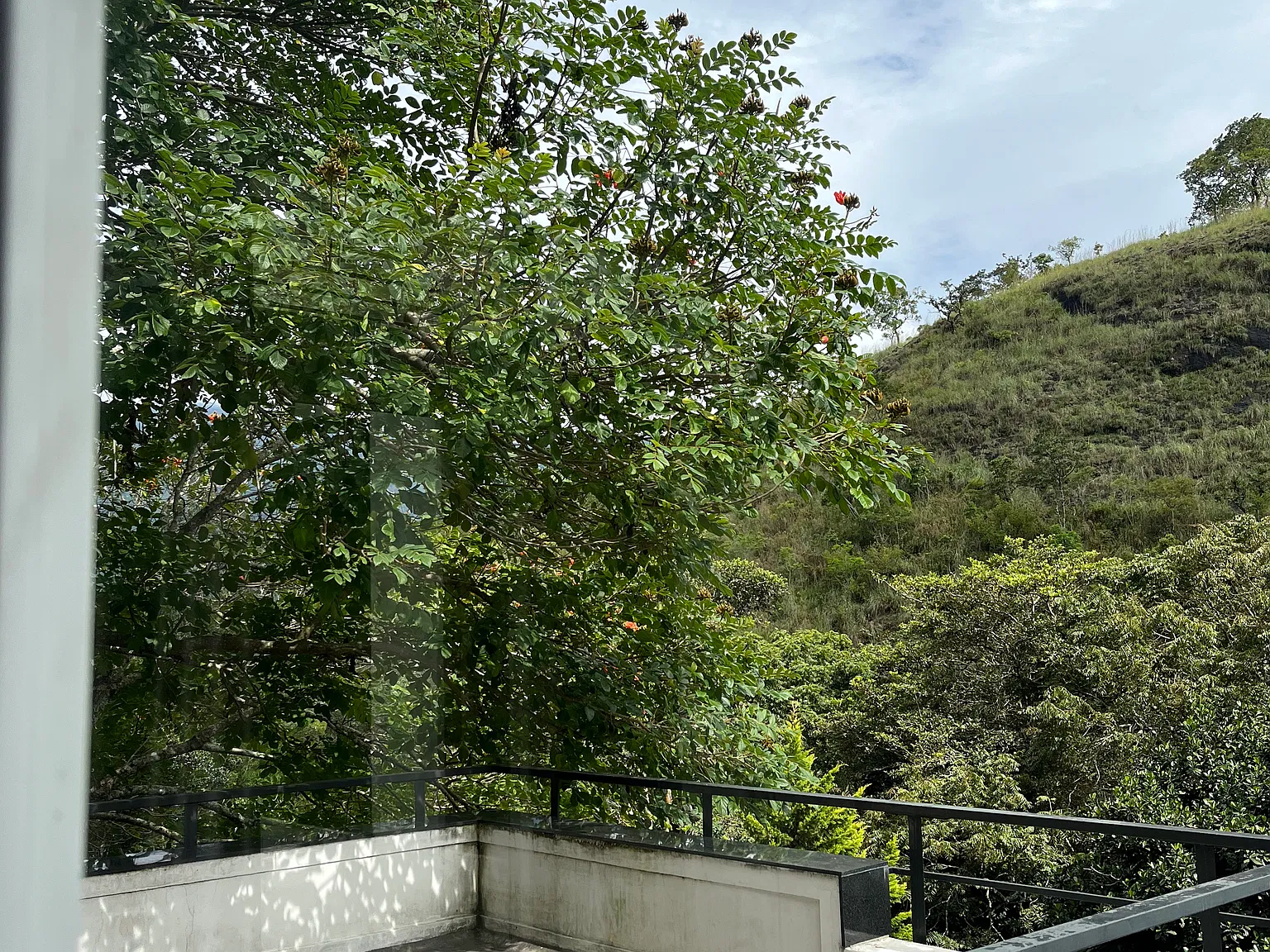 3 bed, 3000 sqft, $5,000 — Photo 2