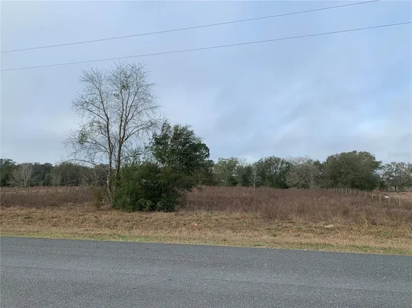 SE 175th Ct Lot 4, Morriston, FL 32668