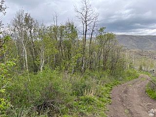5th image of 144 Bear Tooth Rd