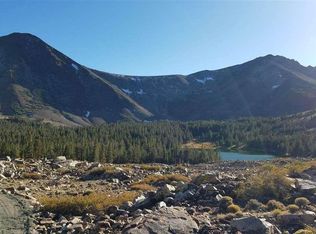 299 Summit Dr, Virginia Lakes, CA 93517