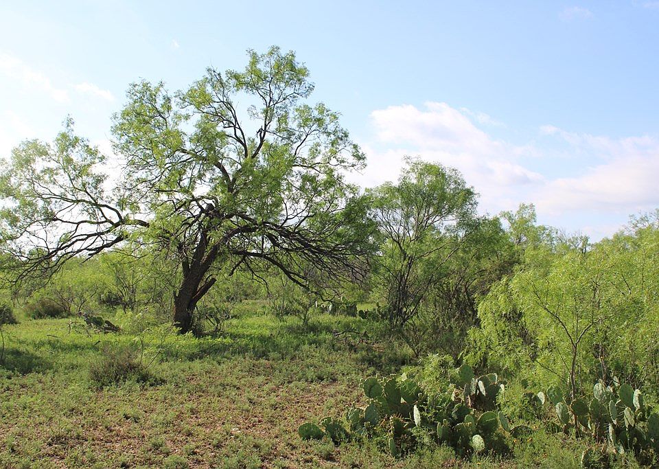 0 Fm 1929 E 0, Millersview, TX 76862 MLS 113234 Zillow