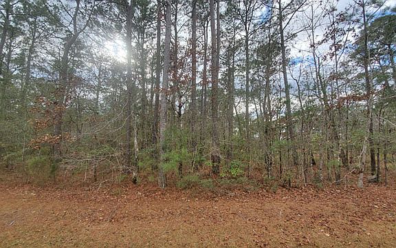 2nd image of 107 Long Creek Dr