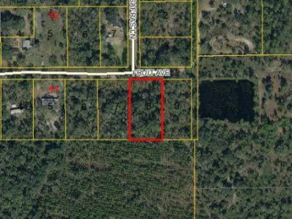 6519 Fruit Ave, Bunnell, FL 32110