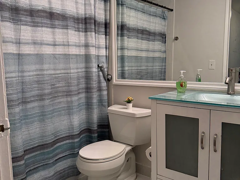 2nd Bathroom (shower)