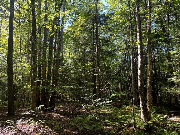 2nd image of 1 Bull Run Rd #1
