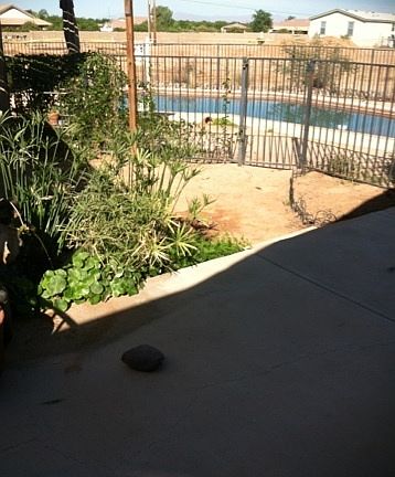2nd image of 26017 S 204th St