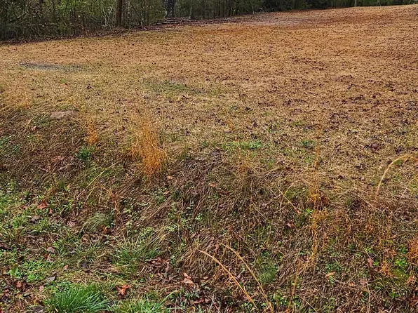 Fern St, Winfield, AL 35594