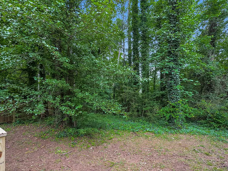 1338 Mill Lake Cir — Photo 17