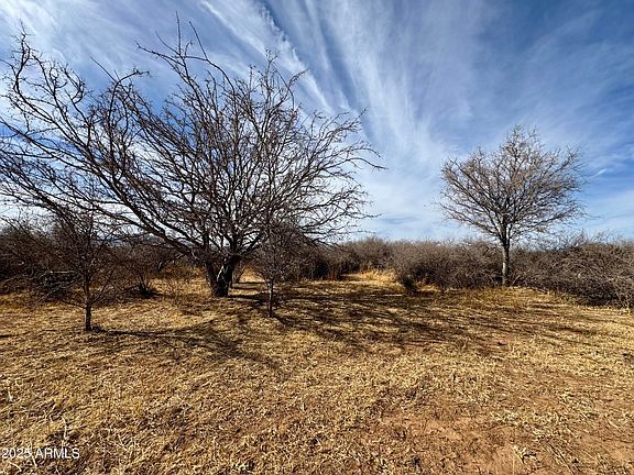 4th image of TBD 5-ACRE W WILLYS RUN -- #C
