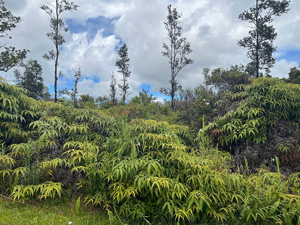 2nd image of Hibiscus St Lot 7417