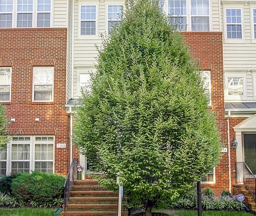 2nd image of 7186 Little Thames Dr #172