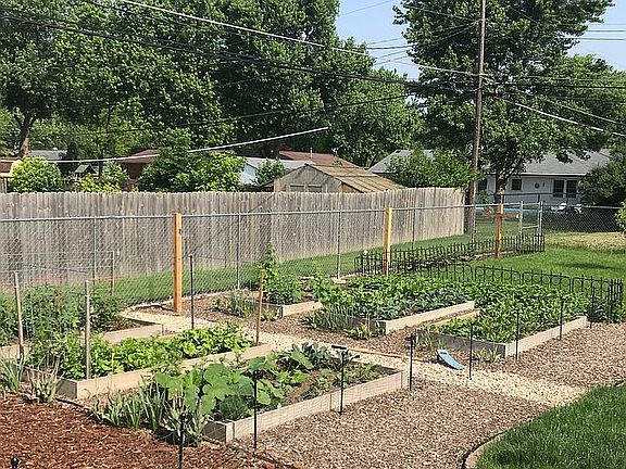 Garden