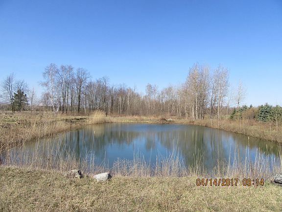 Pond east side.