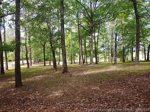 5th image of 898 Loblolly Dr