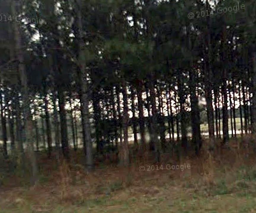 1st image of 4749 Blackwater Dr