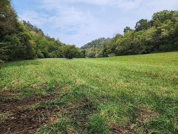 5th image of 0 Webster Branch Ln Lot 5