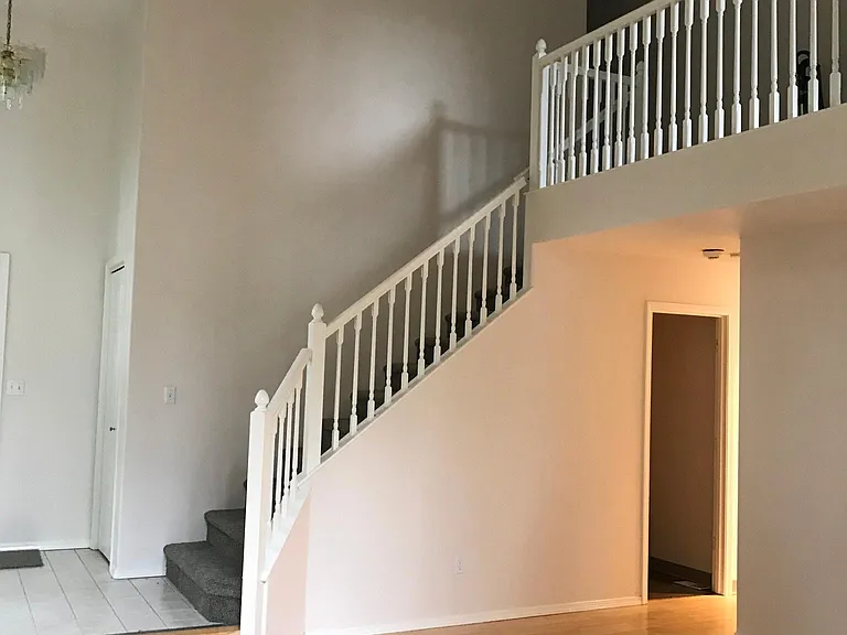 3441 Andree Dr — Photo 4