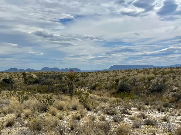 Township Road G McIntyre #631, Terlingua, TX 79852
