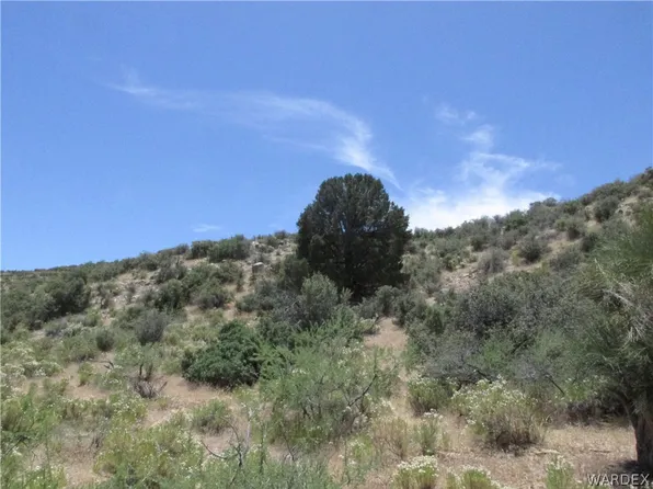25-02-159 Oxen Pass, Wikieup, AZ 85360