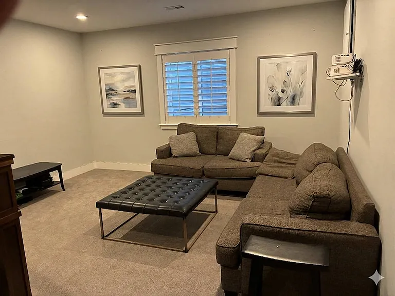 Basement Living room
