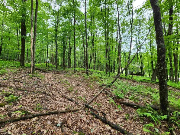 119 Windflower Dr, Terra Alta, WV 26764