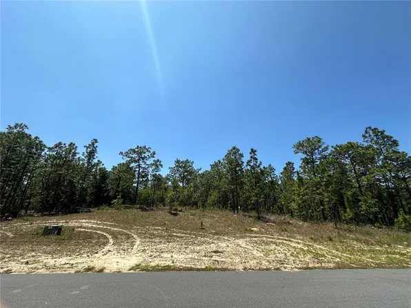 County Road 243 Lot 6, Wildwood, FL 34785