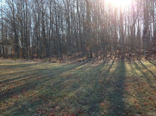 . Ridge Run Rd, Bellaire, MI 49615