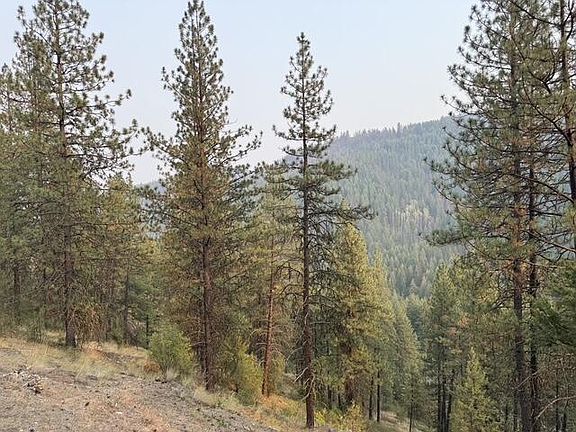 3rd image of 2XX Deadman Creek Rd