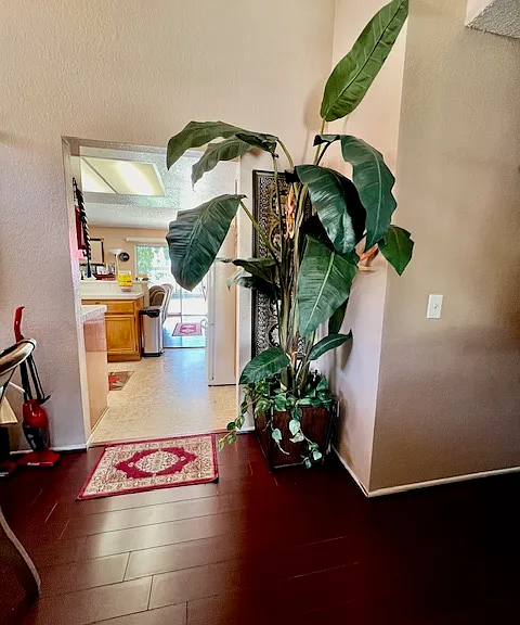 1254 Scenic View St — Photo 9