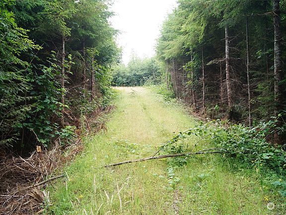 2nd image of 0 Off of Wynooche Wishkah Road