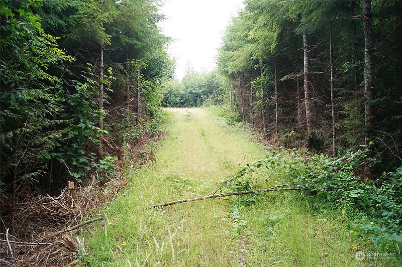 2nd image of 0 Off of Wynooche Wishkah Road