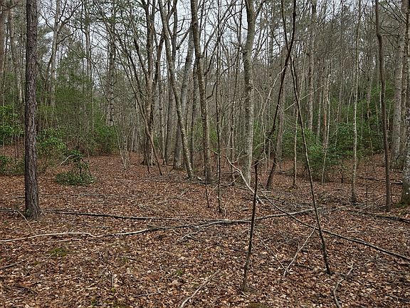 3rd image of 8.5 Blue Berry Rdg