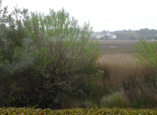 2nd image of 16 Inlet Point Dr