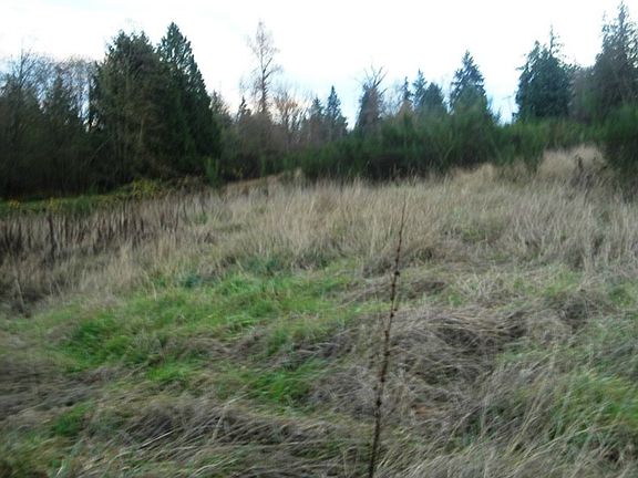 5th image of 20402 132nd Ave SE