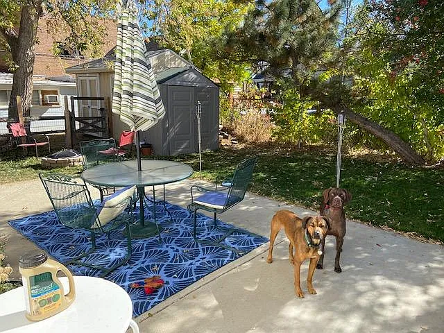 804 Spruce St — Photo 8