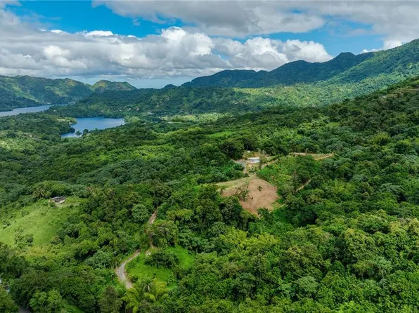 Carr 140 Km #17.9, Utuado, PR 00641