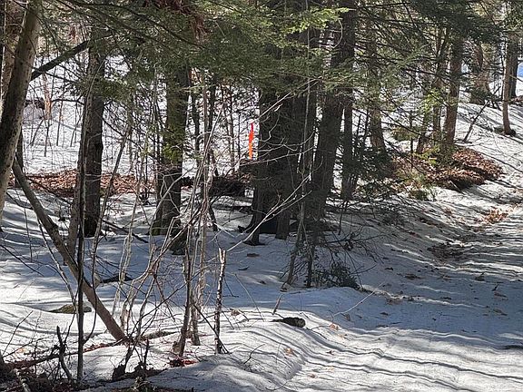2nd image of Lot #10 Goose Pond Road