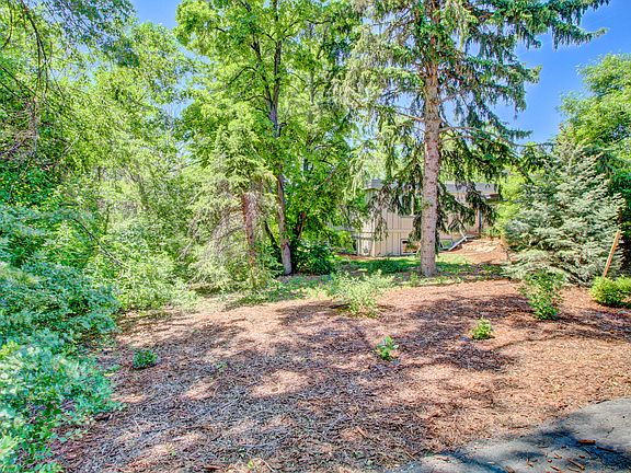 Left Side Yard From Street