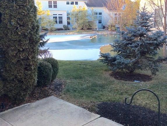 2nd image of 4093 Delancy Park Dr