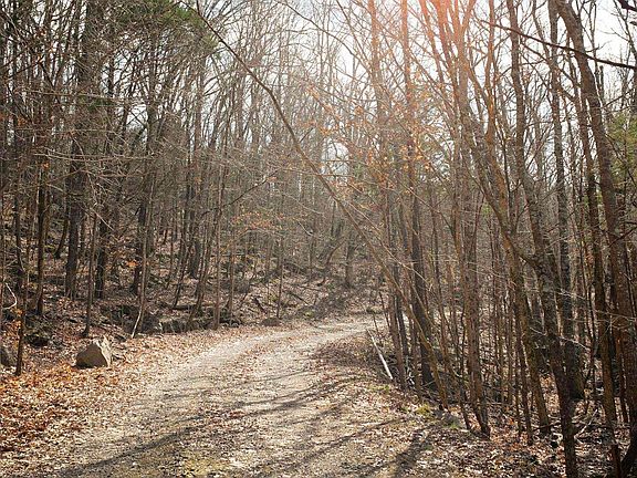 2nd image of County Road 491