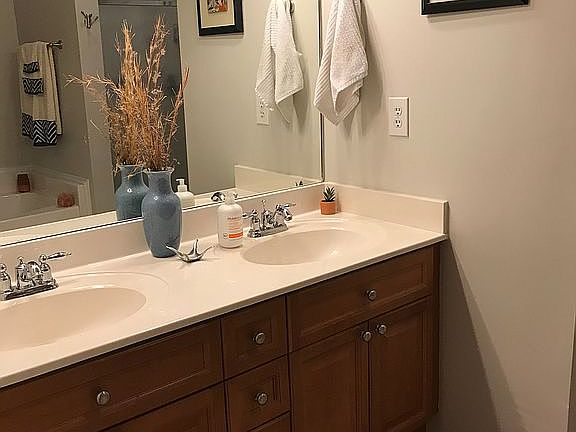 Master double vanity