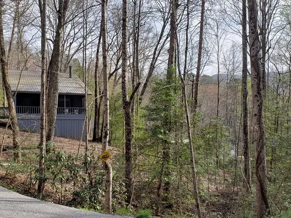 4660 Mitchell Cv, Hiawassee, GA 30546