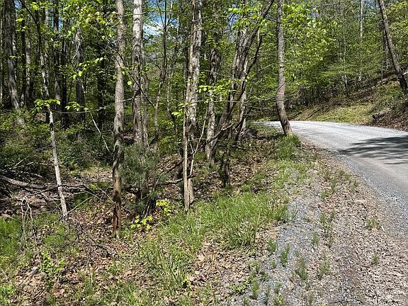 3rd image of 0 Shockeysville Rd