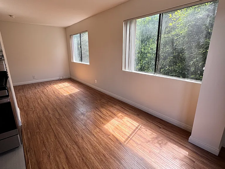 Dining and living areas in one view
