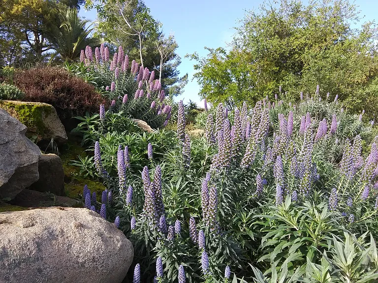 Outside gardens.